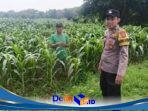 IMG-20260627-WA0142