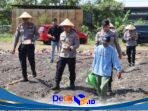 IMG-20260627-WA0233