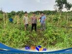 IMG-20260628-WA0164