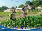 IMG-20260628-WA0166