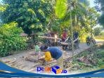 IMG-20260629-WA0019