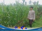 IMG-20260630-WA0167