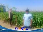 IMG-20260701-WA0275