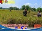 IMG-20260706-WA0082