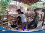 IMG-20260713-WA0038