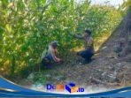 IMG-20260714-WA0022