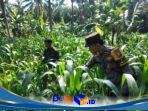 IMG-20260715-WA0017