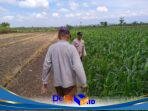 IMG-20260719-WA0007