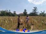 IMG-20260721-WA0083