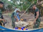 IMG-20260722-WA0012