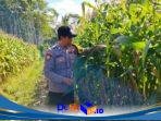 IMG-20260723-WA0112