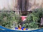 IMG-20260725-WA0135
