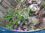 IMG-20260726-WA0133