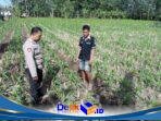 IMG-20260727-WA0022