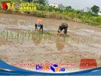 IMG-20260727-WA0097