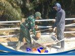 IMG-20260727-WA0174