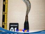 IMG-20260728-WA0048