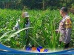 IMG-20260728-WA0056