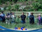IMG-20260728-WA0156
