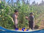 IMG-20260731-WA0106