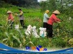 IMG-20260731-WA0137