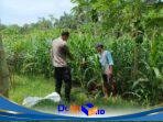 IMG-20260804-WA0130