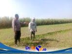 IMG-20260808-WA0074