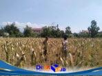 IMG-20260810-WA0048