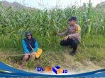 IMG-20260811-WA0029