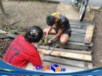 IMG-20260812-WA0027