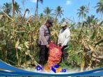 IMG-20260812-WA0052