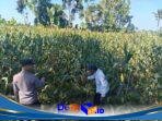 IMG-20260813-WA0094