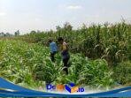 IMG-20260814-WA0162
