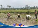 IMG-20260819-WA0029
