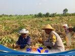 IMG-20260821-WA0032