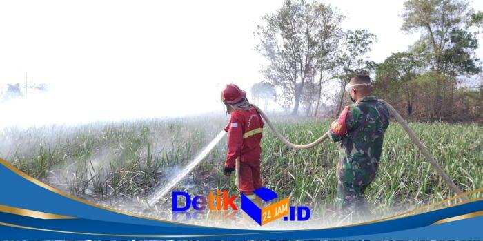 IMG-20260821-WA0162