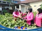 IMG-20260822-WA0027