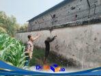 IMG-20260822-WA0036