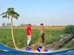 IMG-20260825-WA0016
