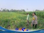 IMG-20260828-WA0055