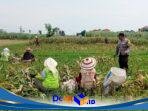 IMG-20260828-WA0106