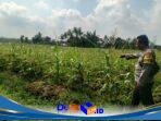 IMG-20260830-WA0041