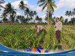 IMG-20260831-WA0022