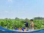 IMG-20260902-WA0020