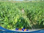 IMG-20260906-WA0015