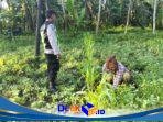 IMG-20260913-WA0027