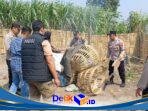 IMG-20260915-WA0026
