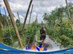 IMG-20260916-WA0019
