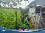 IMG-20260917-WA0063