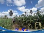 IMG-20260920-WA0035